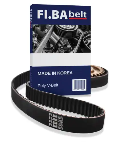 FI.BA 6PK1153