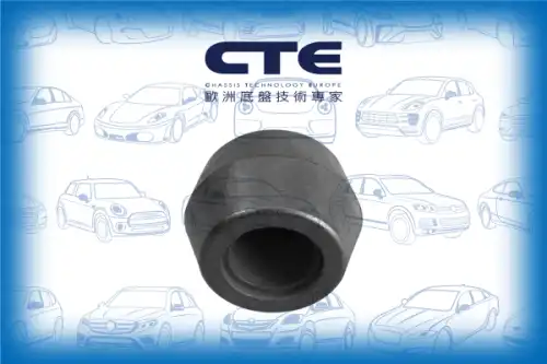 Рычаг подвески CTE CBH04002