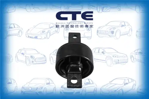 Рычаг подвески CTE CBH31001