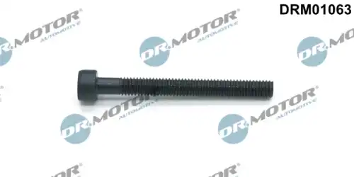 Болт, крепление форсунки DRM01063 DR. MOTOR