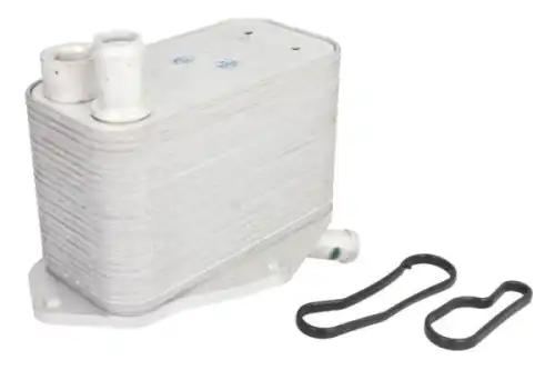 Масляный радиатор THERMOTEC D4V009TT