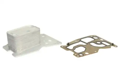 Масляный радиатор THERMOTEC D4B021TT