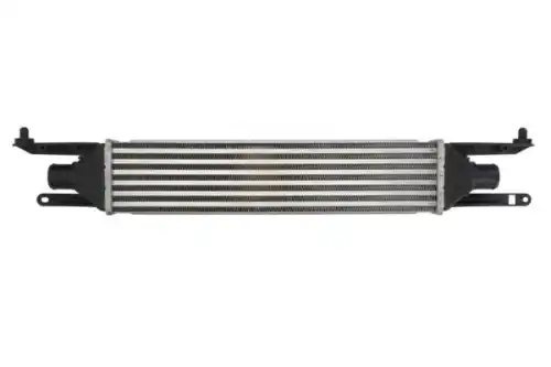 Интеркулер THERMOTEC DAF008TT