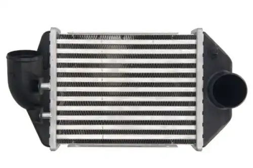 Интеркулер THERMOTEC DAA028TT