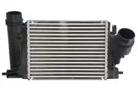 Интеркулер THERMOTEC DA1009TT