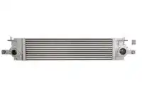 Интеркулер THERMOTEC DA1010TT