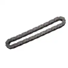55486386 F-(S)CHAIN GM