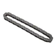 55486386 F-(S)CHAIN GM