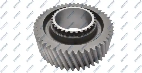 GEAR 1st K20.02208 KACMAZLAR