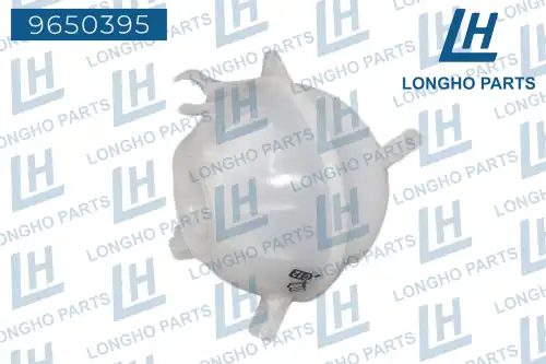 Расширительный бачок LONGHO 9650395