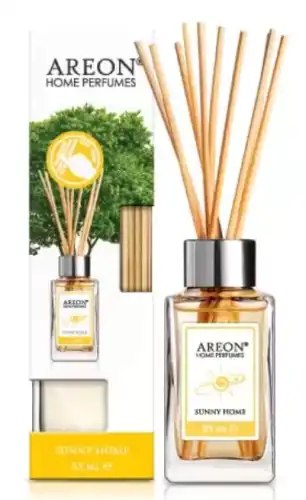 AREON ARE-PS1