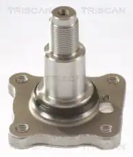 Ступица TRISCAN 8535 16007