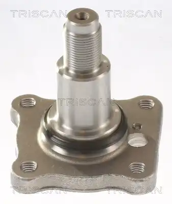 Ступица TRISCAN 8535 16007