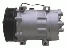 компрессор кондиционера Volv 81.10.27.016 LIZARTE
