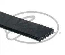 GATES 6PK2030