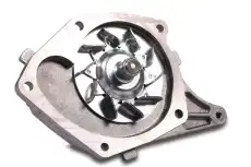 помпа Ren 986962 GK