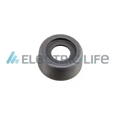 Ручка двери ELECTRIC LIFE ZR11091