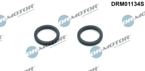 Комплект прокладок двигателя DR. MOTOR DRM01134S