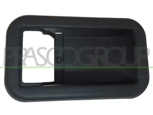 Ручка двери PRASCO FT9208701