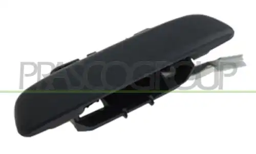 Ручка двери PRASCO CI0228101