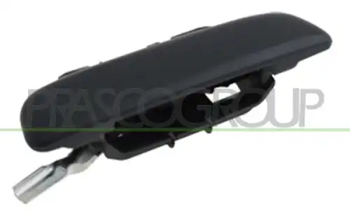 Ручка двери PRASCO CI0228102