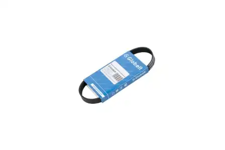 GLOBELT 6PJ711