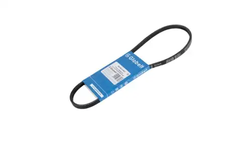 GLOBELT 3PK798ELAST