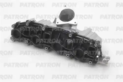 Модуль впускной трубы P17-0041 PATRON