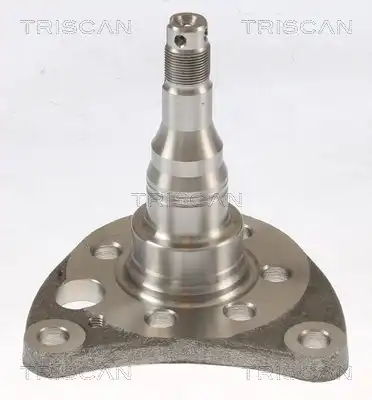 Ступица TRISCAN 8535 29012