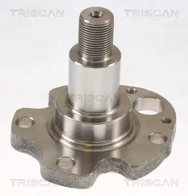 Ступица TRISCAN 8535 29014
