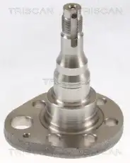 Ступица TRISCAN 8535 29016