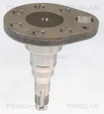 Ступица TRISCAN 8535 29016