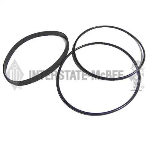 Kit - Liner Packing M-3800174 MCBEE