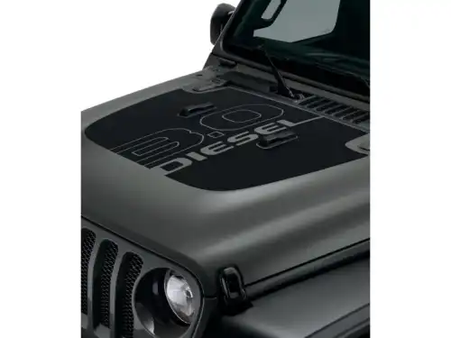 HOOD 82216500AA CHRYSLER