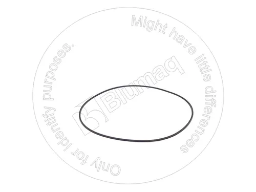 УПЛОТНИТЕЛЬНОЕ КОЛЬЦО VO11989788 ST BLUMAQ