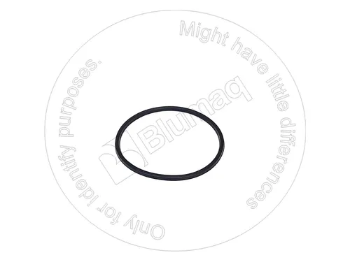 УПЛОТНИТЕЛЬНОЕ КОЛЬЦО VO11989825 BQ BLUMAQ