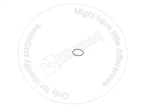 УПЛОТНИТЕЛЬНОЕ КОЛЬЦО VOE11705258 ST BLUMAQ