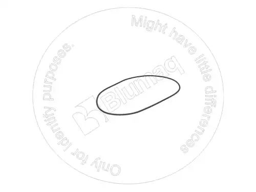 УПЛОТНИТЕЛЬНОЕ КОЛЬЦО VOE11709338 ST BLUMAQ