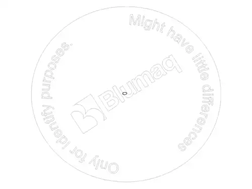 УПЛОТНИТЕЛЬНОЕ КОЛЬЦО VOE11715354 ST BLUMAQ