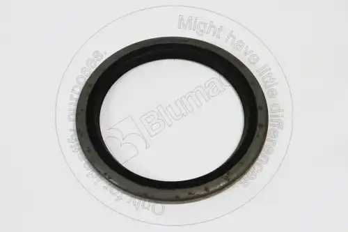 VOE11882456 ST САЛЬНИК BLUMAQ