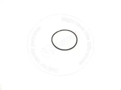 УПЛОТНИТЕЛЬНОЕ КОЛЬЦО VOE11989783 BQ BLUMAQ