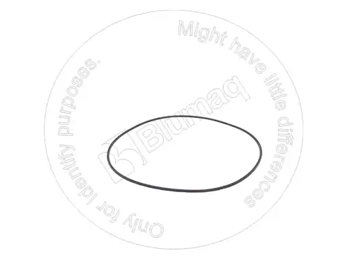 УПЛОТНИТЕЛЬНОЕ КОЛЬЦО VOE11989788 ST BLUMAQ