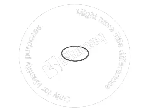 УПЛОТНИТЕЛЬНОЕ КОЛЬЦО VOE11989805 ST BLUMAQ