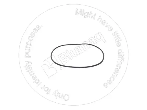 УПЛОТНИТЕЛЬНОЕ КОЛЬЦО VOE11989826 BQ BLUMAQ