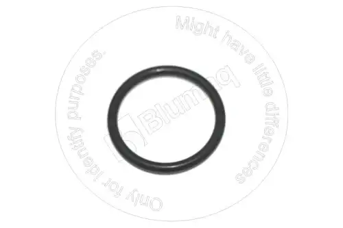 УПЛОТНИТЕЛЬНОЕ КОЛЬЦО VOE13967752 ST BLUMAQ