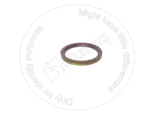 УПЛОТНИТЕЛЬНОЕ КОЛЬЦО VOE1650290 ST BLUMAQ