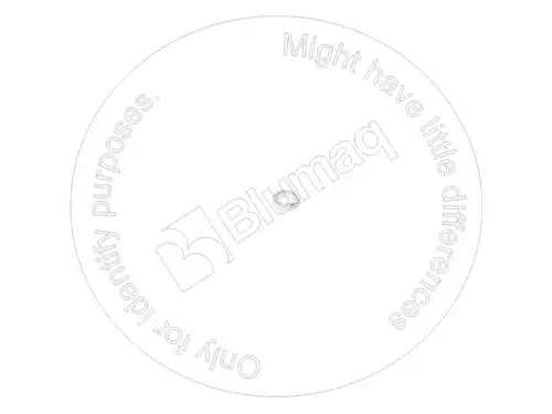 УПЛОТНИТЕЛЬНОЕ КОЛЬЦО VOE20405769 ST BLUMAQ