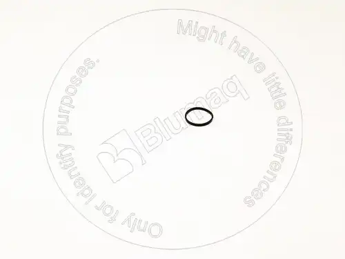 VOE20459215 OE ШАЙБА BLUMAQ