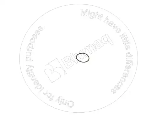 Кольцо уплотнительное автомобильное BLUMAQ VOE20460073 ST