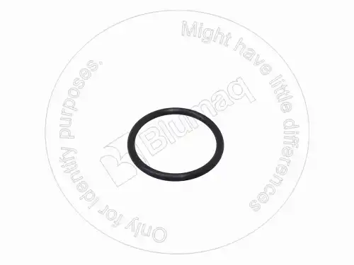 САЛЬНИК VOE21433769 ST BLUMAQ